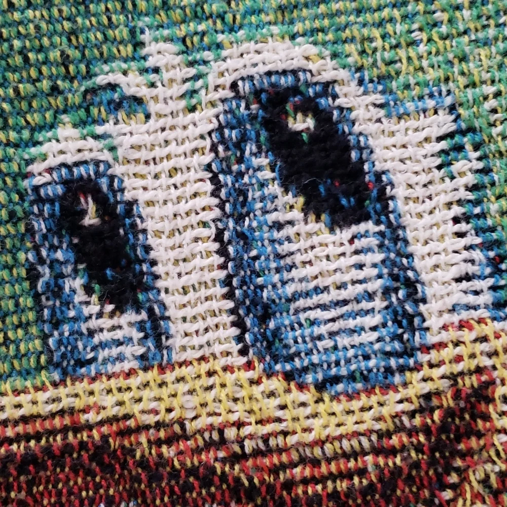 Walt Disney World Mickey's Holiday Gathering Woven Knit Throw 60X50